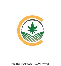 Amarelo C: cannabis encontra agricultura