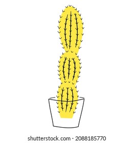 Cactus amarillos en una olla 