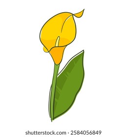 Yellow calla lily flower flat vector illustration logo icon clipart isolated on white background