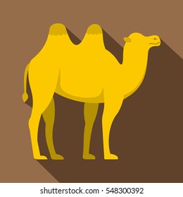 Yellow camel icon. Flat illustration of yellow camel vector icon for web isolated on coffee background