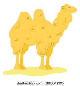 Gelbes Kamelsymbol allein stehend, arabisches Arodactyl-Tier, schöne dromedäre flache Vektorgrafik einzeln auf Weiß. United Arab emirates gezähmte Biest, Konzept arabischen Reittier.