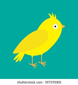Yellow canary bird. Green background. Flat design style. Vector illustration