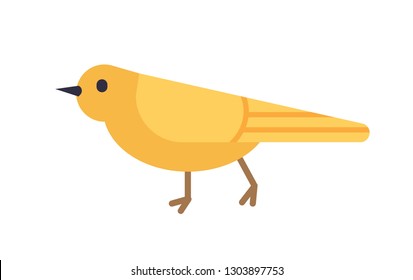 Yellow canary isolated on white background. Gorgeous domestic bird or pet, adorable songbird. Cute funny birdie. Avian species. Modern colored vector illustration in trendy flat geometric style.