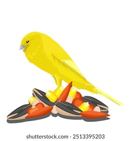 yellow canary with seeds vector with separate white background