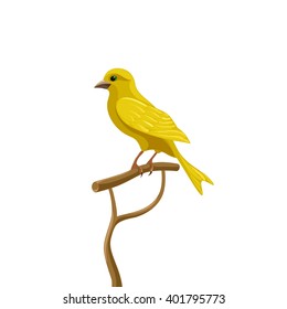 Yellow Canary Sits On A Perch. Bird Vector Illustration