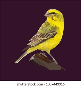 Yellow Canary In Vector Art