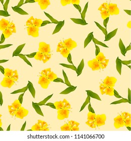 Yellow Canna indica - Canna lily, Indian Shot on Ivory Beige Background. Vector Illustration.
