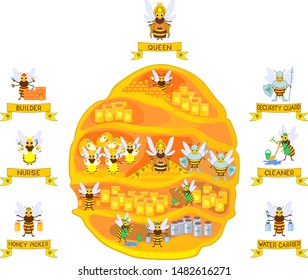 Yellow cartoon beehive and honey bee family isolated on white background. Internal structure of beehive