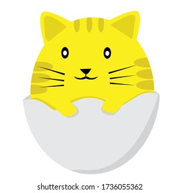 gato amarillo lindo con huevo ser divertido