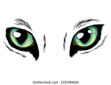 Yellow cat eyes isolated on white background. Vector illustration