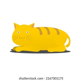 Gato amarillo con rayas en la posición del asiento