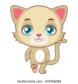 Yellow cat walking
