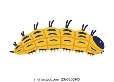 Gelbe Caterpillar als Larval Stage des Insektenkrabbelns und der Creeping Vector Illustration