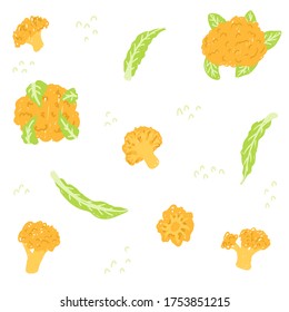 Yellow cauliflower set. Orange Cauliflower vector illustration pattern. Whole cauliflower, slice, cut, piece, leaves