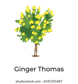 A yellow cedar tree icon flat design of ginger thomas tree