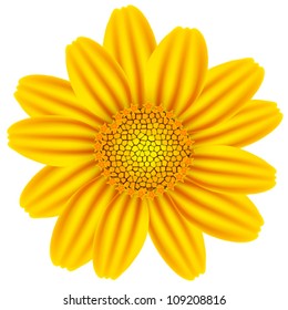 yellow chamomile against white background, abstract vector art illustration; image contains gradient mesh and transparency