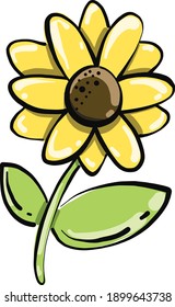 Yellow chamomile flower, illustration, vector on a white background.