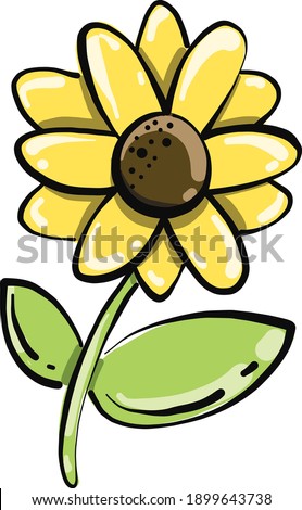 Yellow chamomile flower, illustration, vector on a white background.