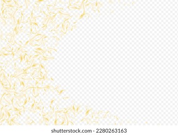Yellow Cherry Fall Vector Transparent Background. White Japan Peach Template. Beige Lotus Summer Frame. Gold Flower Fly Banner. Spring Blossom Wallpaper.
