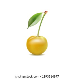 yellow cherry isolated on white background, realistic vector cherry