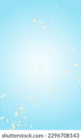 Yellow Cherry Summer Vector Blue Background. White Beauty Rose Template. Delicate Sakura Falling Poster. Gold Lotus Tender Design. Flying Flower Cover.