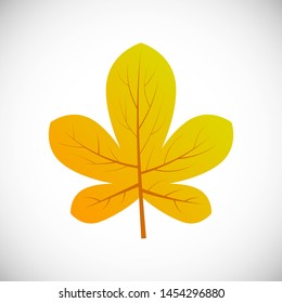 Yellow chestnut leaf. Autumn leaf of a tree on a white background. Vector illustration