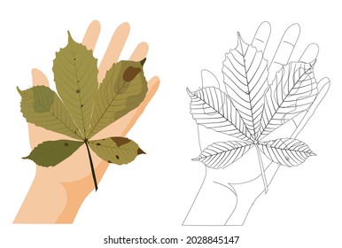 Yellow chestnut leaf on the palm. Children's coloring. Vector stock illustration isolated on white background.