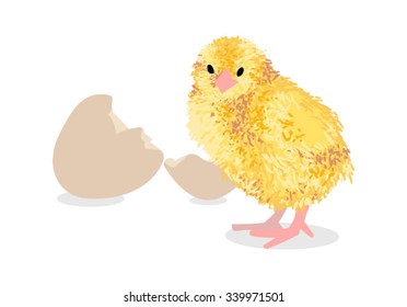 Yellow chick with hatched egg