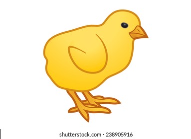 Yellow chick illustration