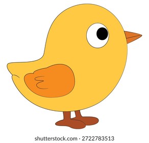 Yellow chick isolated on a white background