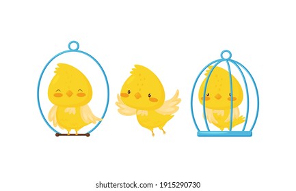 Yellow Chick Sitting in Cage and on Perch Vector Set