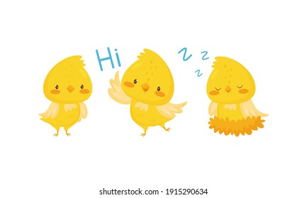 Yellow Chick Sleeping in Nest and Greeting Vector Set