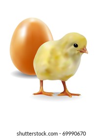 Yellow chicken with egg on a white background