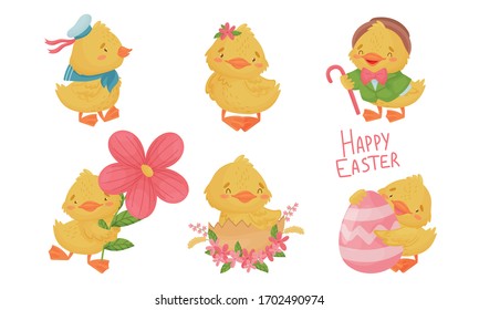 Yellow Chicken Holding Egg and Hatching Isolated on White Background Vector Set