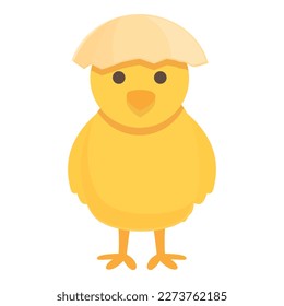 Yellow chicken icon cartoon vector. Chick baby. Shell hatch