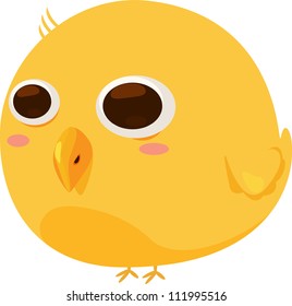 yellow chickens