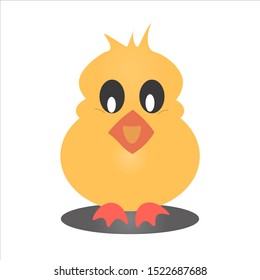 Yellow Chicks on  white background