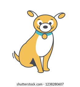 yellow chihuahua dog with smile and blue collar