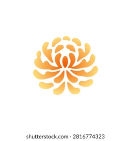 Yellow Chrysanthemum Flower Vector Illustration Isolated