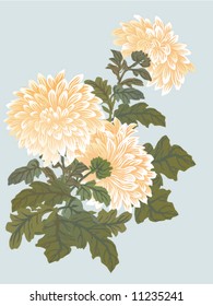 yellow chrysanthemum illustration on blue background