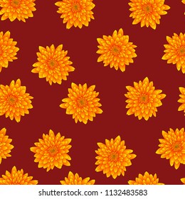 Yellow Chrysanthemum on Red Background. Vector Illustration.