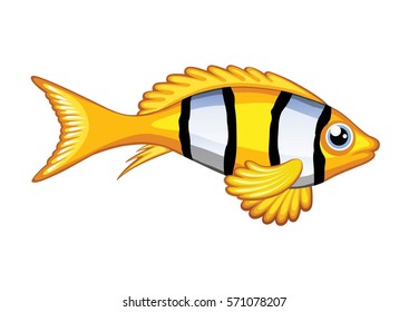 yellow clown fish