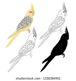 Yellow cockatiel cute tropical bird funny  parrot watercolor style outline and silhouette on a white background vintage vector illustration editable hand draw