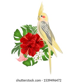 Yellow cockatiel cute tropical bird funny  parrot  on a bouquet with tropical flowers hibiscus, palm,philodendron  and   Brugmansia on a white background vintage vector illustration editable hand draw