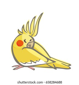 Yellow Cockatiel Sleeping Vector Illustration