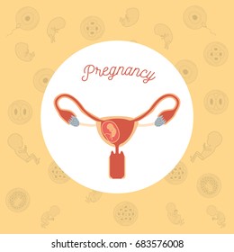 yellow color background pattern pregnancy icons with fetus human growth in placenta a few weeks in female reproductive organ vector illustration