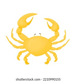 yellow color crab, vector illustration