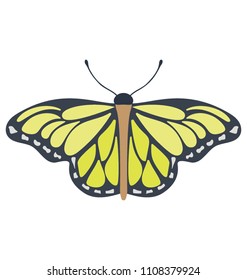 
A yellow colored flat icon image of a Dione Butterfly
