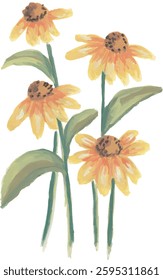 yellow cone flower hand drawn watercolor with isolated white background