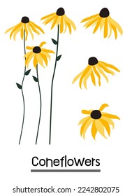 Yellow coneflower background.Eps 10 vector.
